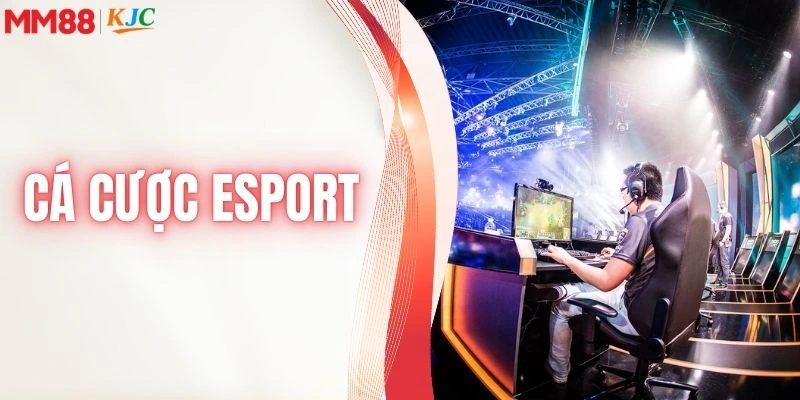 Cá cược esport