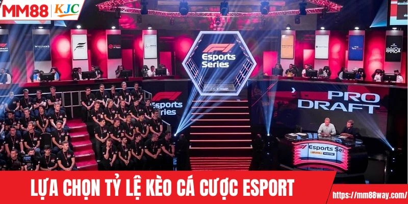 Lựa chọn tỷ lệ kèo cá cược Esport 