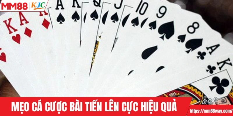 Mẹo cá cược bài tiến lên cực hiệu quả